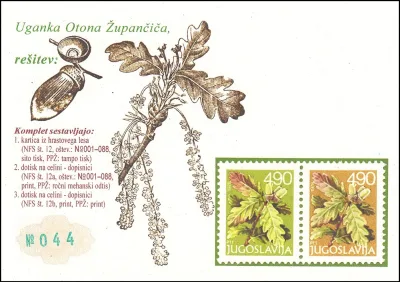 HRAST ( QUERCUS SP. ) - RASTLINA LETA  